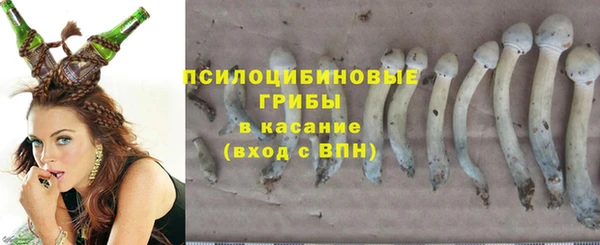 а пвп мука Киреевск